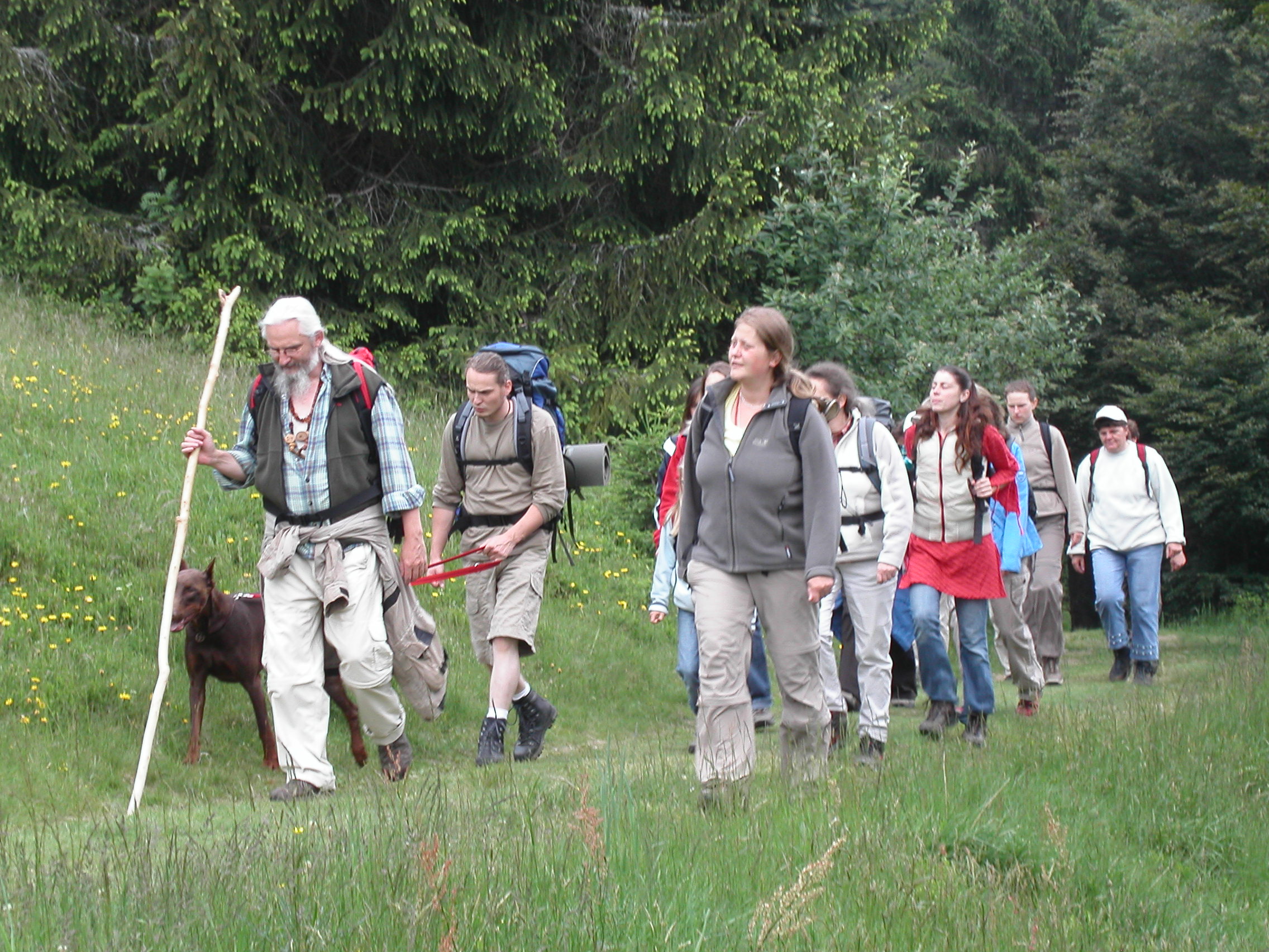 Nature Spirits Hikes