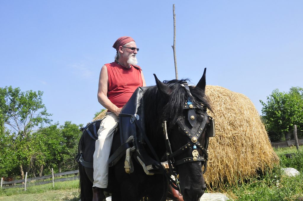 When harvesting hay